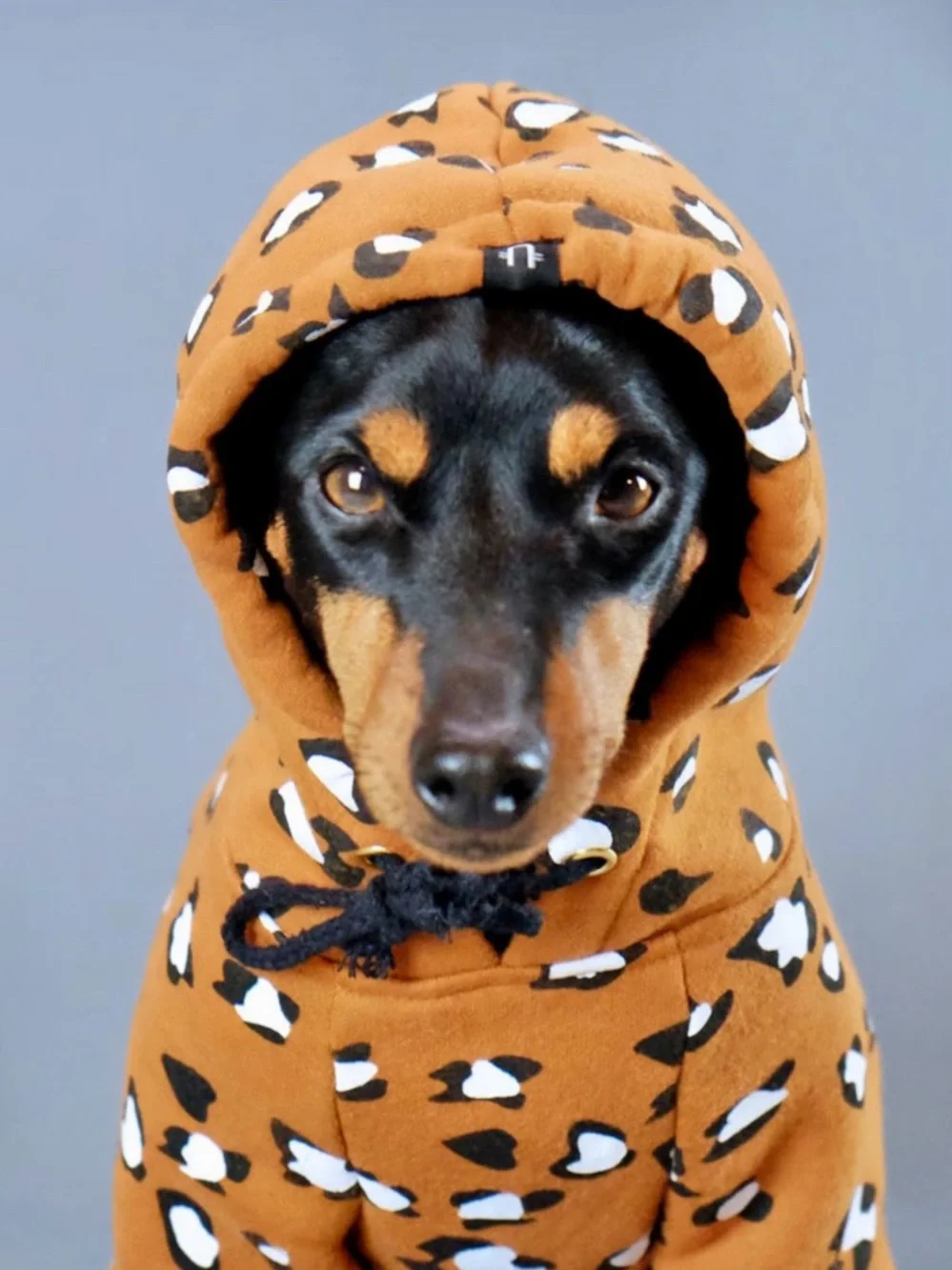 Huts and Bay Leopard-Print Pullover Dog Hoodie - Tan/Yellow